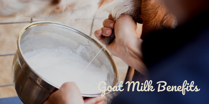 Goats Milk Benefits