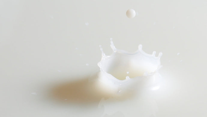 Whole Milk Packs a Nutritious Punch